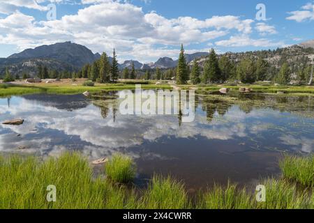 Stagno subalpino Bridger Wilderness, Wind River Range, Wyoming. Foto Stock