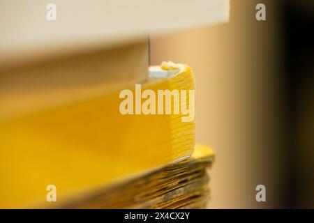 Un'accattivante foto macro rivela i dettagli e le texture intricati dei bordi dei libri, mostrando la bellezza della letteratura Foto Stock