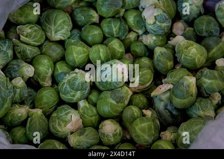 Primo piano di un mazzo di cavoletti di bruxelles biologici in vendita in un negozio di cereali in Argentina. Foto Stock