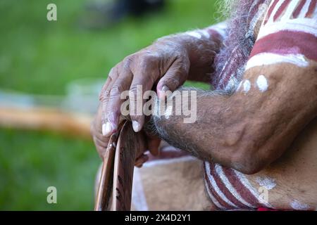 La mano umana tiene i bastoncini rituali per il rituale di benvenuto in un evento della comunità indigena in Australia Foto Stock