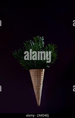 Un contenitore a forma di cono con una pianta verde all'interno. L'immagine ha uno sfondo scuro e un'atmosfera soffusa. Foto Stock