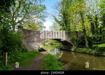 Ponte ad arco sul canale Trent e Mersey nella campagna del Cheshire nel Regno Unito Foto Stock