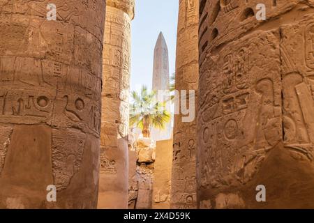 Karnak, Luxor, Egitto. Obelisco della Regina Hatshepsut attraverso le colonne della grande sala Ipostilio presso il complesso del Tempio di Karnak. Foto Stock