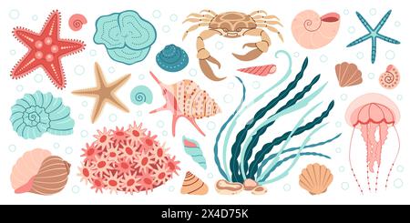 Set di elementi di vita marina disegnati a mano. Animali acquatici, anemoni, granchi, meduse, alghe, conchiglie, stelle marine, cavallucci marini. Elegante ecosistema sottomarino piatto. Illustrazione vettoriale Illustrazione Vettoriale