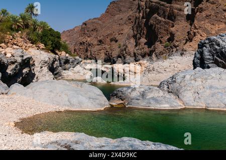 Una piscina naturale a Wadi al Arbeieen, ai piedi delle montagne del deserto. Wadi al Arbeieen, Oman. Foto Stock