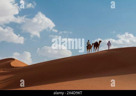 Un uomo beduino che conduce un cammello come un altro giro lungo la cresta di una duna di sabbia deserta. Wahiba Sands, Oman. Foto Stock