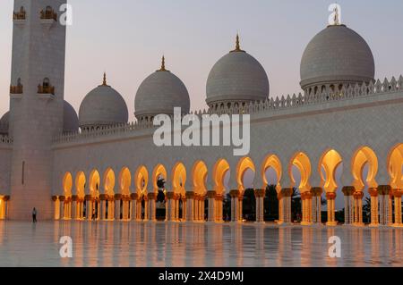Cupole e archi illuminati alla grande Moschea dello sceicco Zayed al crepuscolo. Abu Dhabi, Emirati Arabi Uniti. Foto Stock
