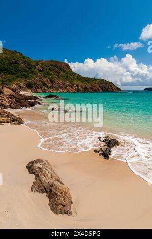 Le acque caraibiche nuotano su un tratto appartato di Anse de Grande Saline Beach. Saint Barthelemy, Indie Occidentali. Foto Stock