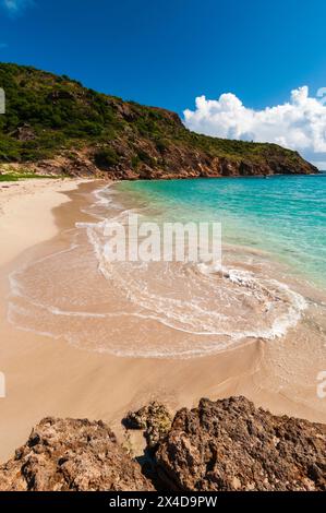 Le acque caraibiche nuotano su un tratto appartato di Anse de Grande Saline Beach. Saint Barthelemy, Indie Occidentali. Foto Stock