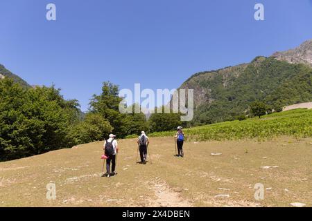 I viaggiatori camminano attraverso una radura in splendide montagne. Gabala. Azerbaigian. Foto Stock