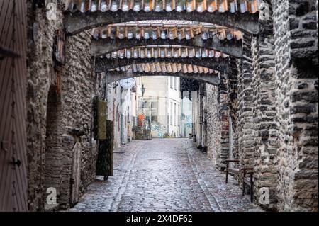 Passaggio di St Catherines, Tallinn, Estonia Foto Stock