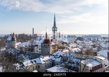 Vista sulla città vecchia, Tallinn, Estonia Foto Stock