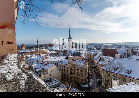 Vista sulla città vecchia, Tallinn, Estonia Foto Stock