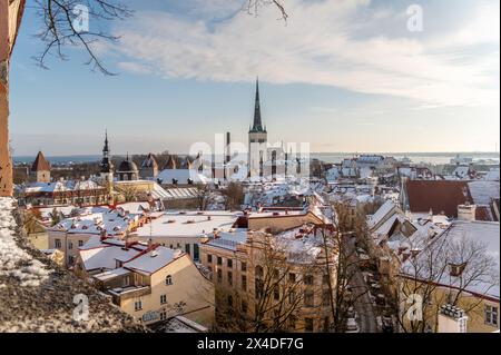 Vista sulla città vecchia, Tallinn, Estonia Foto Stock