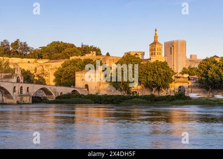 Avignone, Vaucluse, Provenza-Alpi-Costa Azzurra, Francia. Il Palais des Papes, Palazzo dei Papi, ad Avignone. Foto Stock