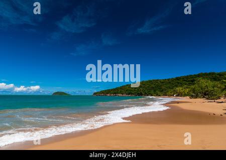 Il dolce surf caraibico si rotola sull'ampia e deserta le Pearl Beach. Deshaies, Isola di basse Terre, Iles des Saintes, Guadalupa, Indie Occidentali. Foto Stock