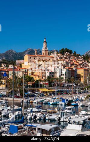 Il porto della città vecchia di Mentone e la Chiesa di Saint Michel. Provence Alpes Cote d'Azur, Francia. Foto Stock