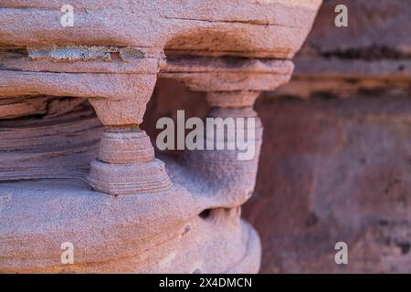 Antica roccia sedimentaria erosa dal tempo e dal tempo in sculture uniche che decorano il paesaggio nell'area Kolob Terrace del Parco Nazionale di Zion, U Foto Stock