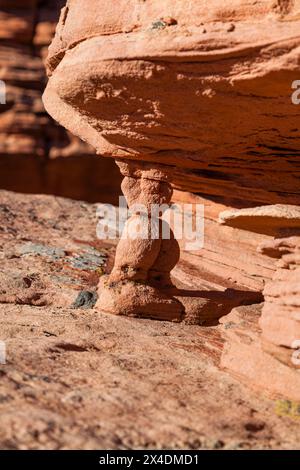 Antica roccia sedimentaria erosa dal tempo e dal tempo in sculture uniche che decorano il paesaggio nell'area Kolob Terrace del Parco Nazionale di Zion, U Foto Stock