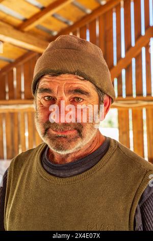 Romania, Transilvania, Suceava. Segheria in legno tenero e sawyer. (Solo per uso editoriale) Foto Stock