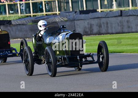 Nicholas Pellett, Sunbeam Tourist Trophy, SF Edge Trophy, per auto edoardiane e speciali con motori aeronautici nello spirito delle prime gare di Brooklands Foto Stock