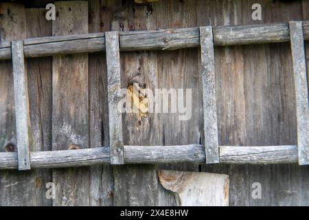 Una vecchia scala in un villaggio lituano Foto Stock