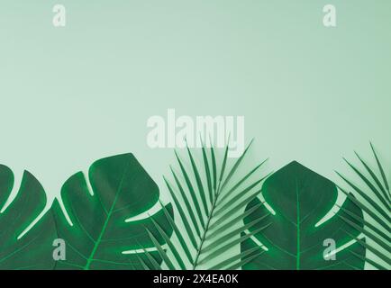 Composizione estiva creativa e alla moda realizzata con foglie di palma verde tropicale su sfondo verde pastello con spazio copia. Concetto minimale. Layout naturale. Foto Stock
