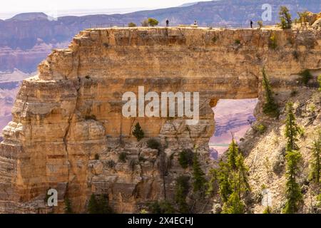 Stati Uniti, Arizona, Parco Nazionale del Grand Canyon. Persone in cima al punto panoramico sul North Rim. Foto Stock