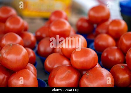 Pomodori biologici in vendita in cesti Foto Stock