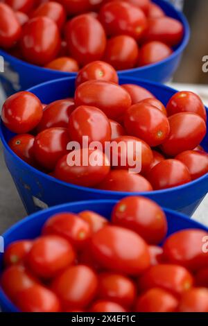 Pomodori biologici in vendita in cesti Foto Stock