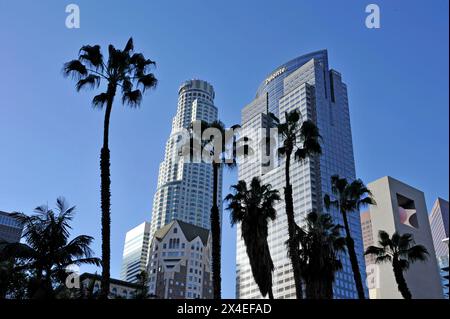 Skyline del centro città con palme, Los Angeles, California, Stati Uniti Foto Stock