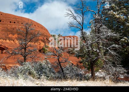 USA, Arizona, Sedona. Spolverata di neve in contrasto con Red Rocks. Foto Stock