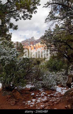 USA, Arizona, Sedona. Spolverata di neve su Red Rocks. Foto Stock