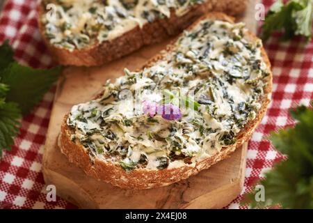 Una fetta di pane a pasta madre con burro di ortica fatto di piante commestibili selvatiche raccolte in primavera Foto Stock