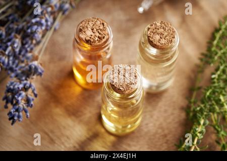 Tre bottiglie di olio essenziale per aromaterapia con timo fresco e fiori secchi di lavanda Foto Stock
