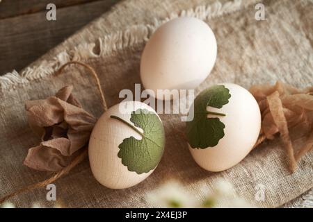 Uova di Pasqua crude con foglie fresche attaccate ad esse con calze vecchie - preparazione per tintura con bucce di cipolla Foto Stock