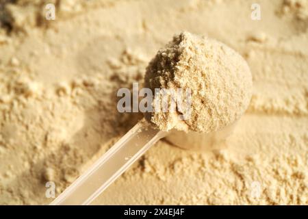 Polvere di proteine di siero di latte in un dosatore in plastica Foto Stock