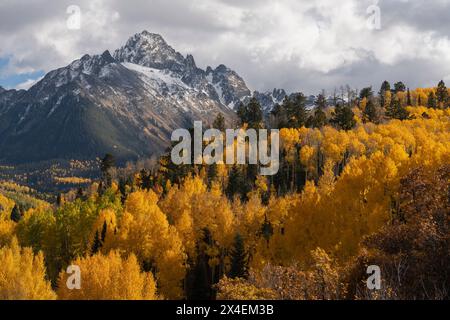 USA, Colorado, Uncompahgre National Forest. Monte Sneffels e foresta di aspen in autunno. Foto Stock