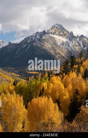 USA, Colorado, Uncompahgre National Forest. Monte Sneffels e foresta di aspen in autunno. Foto Stock
