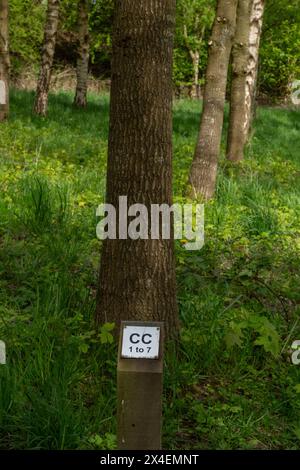 Un posto sull'albero in un bosco commemorativo a St Ives Estate, Harden, Bingley. Il post mostra la posizione di ogni albero dedicato. Foto Stock