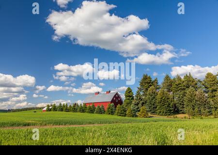 USA, Idaho, Potlatch. Fienile rosso, cielo blu, nuvole bianche. (Solo per uso editoriale) Foto Stock