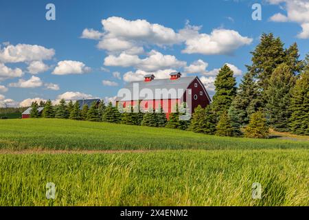 USA, Idaho, Potlatch. Fienile rosso, cielo blu, nuvole bianche. (Solo per uso editoriale) Foto Stock