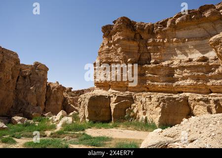 Canyon nel deserto in oasi vicino alla cascata di Tamaqzah, Tunisia Foto Stock