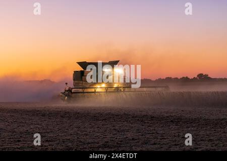 Combina la raccolta della soia al tramonto, Marion County, Illinois. Foto Stock