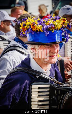 Un fisarmonicista del Blue Ribbon indossa un cappello con campanelli e cowslips per il festival "Obby 'Oss", un evento popolare annuale che si tiene il giorno di maggio a Padstow, Cornovaglia Foto Stock