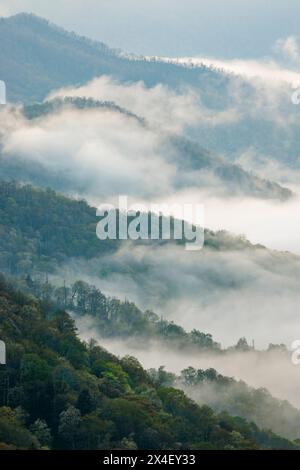 Vista mattutina della valle di Oconaluftee con nebbia crescente, Great Smoky Mountains National Park, North Carolina Foto Stock