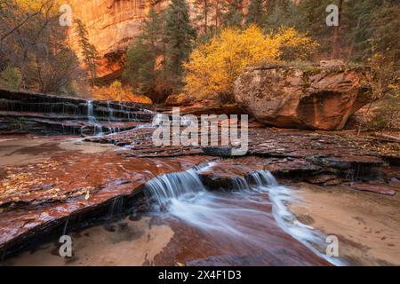 Archangel Falls sulla Fork sinistra di North Creek, Zion National Park Foto Stock