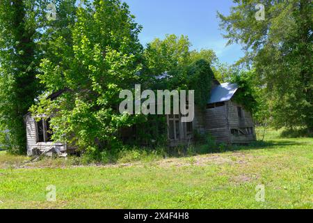Cascina trascurata e abbandonata Foto Stock