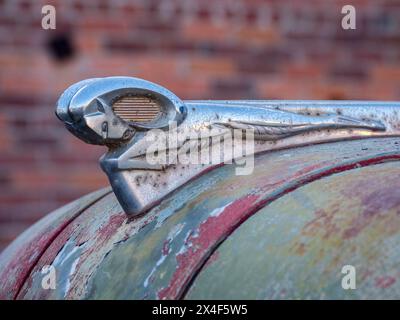 Primo piano dell'ornamento del cofano del cilindro schivato su un camion a Palouse. (Solo per uso editoriale) Foto Stock