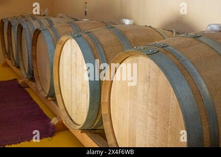 Port Townsend, Stato di Washington, Stati Uniti. Fila di botti di vino utilizzate per l’invecchiamento del vino Foto Stock